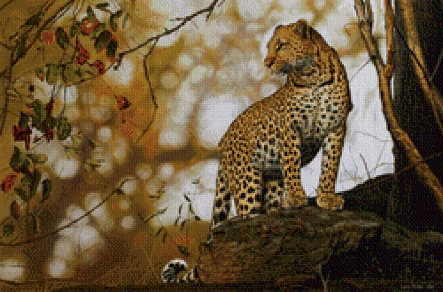 гипард - предпросмотр