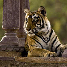 Схема вышивки «№970972»