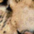 Предпросмотр схемы вышивки «леопард» (№971014)