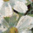 Предпросмотр схемы вышивки «Цветы» (№971057)