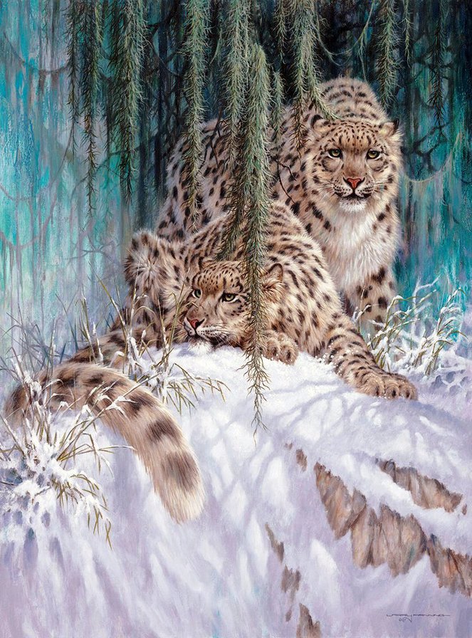 Ирбисы - , кошки, снежные барсы, ирбис, ирбисы, кошка, снежный барс, барс - оригинал