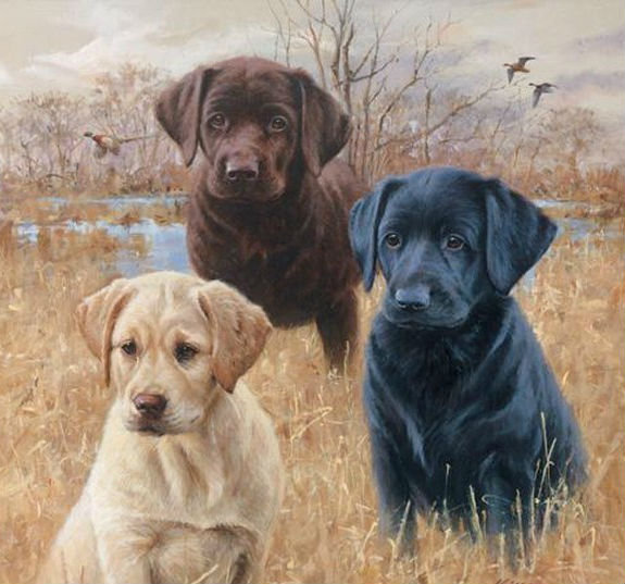 Щенки - животные - оригинал