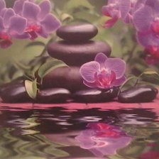 Схема вышивки «орхидеи»