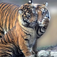 Схема вышивки «7»