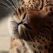 Схема вышивки «8»