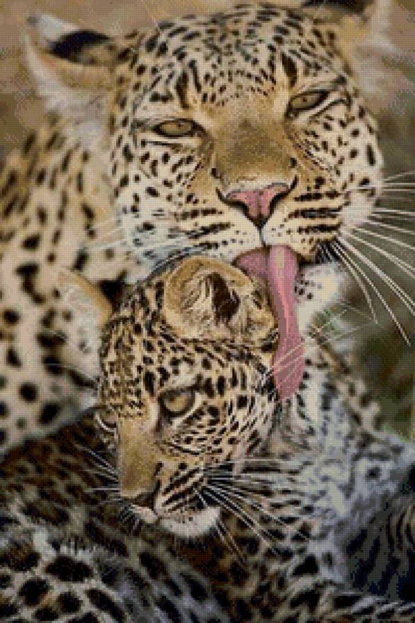 14 - фауна - предпросмотр