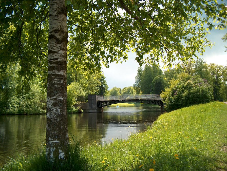 №971446 - оригинал