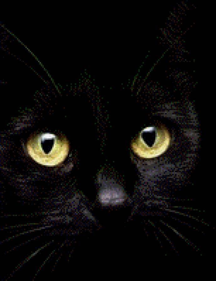 6 - предпросмотр