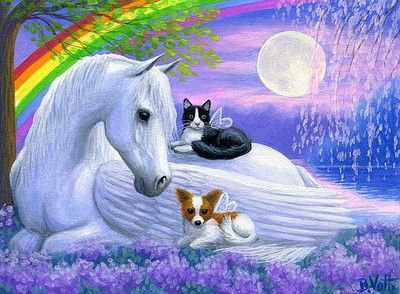 лошадка - кот, сказка, кони, фентези, собака, лошадь, животные - оригинал