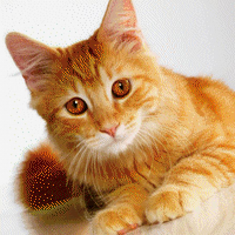 25 - предпросмотр