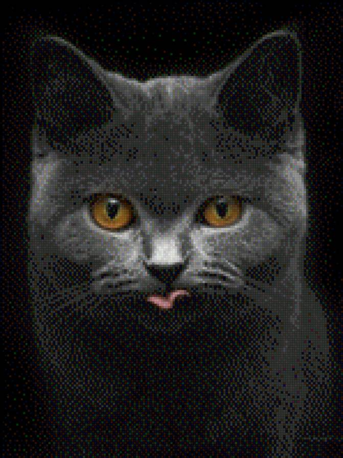 26 - предпросмотр