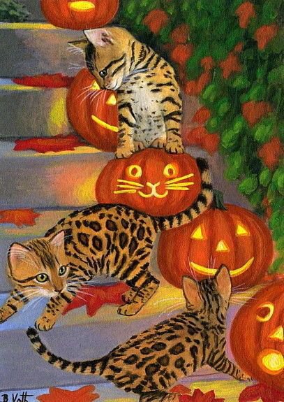 котики - хеллоуин, тыква, кошка, кот, котик, котята, животные, осень, кошки - оригинал