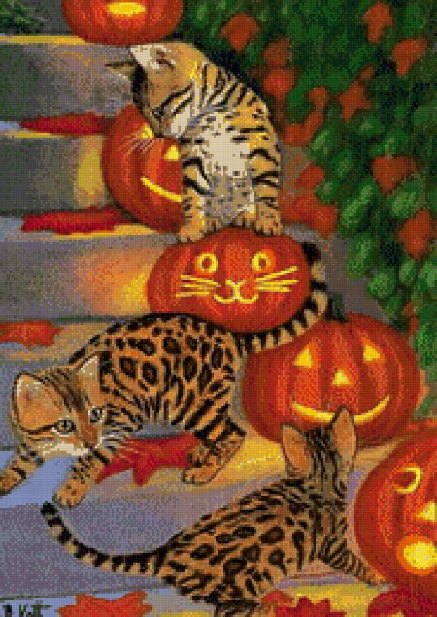 котики - кот, котята, животные, кошка, котик, осень, кошки, тыква, хеллоуин - предпросмотр