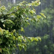 Схема вышивки «29»