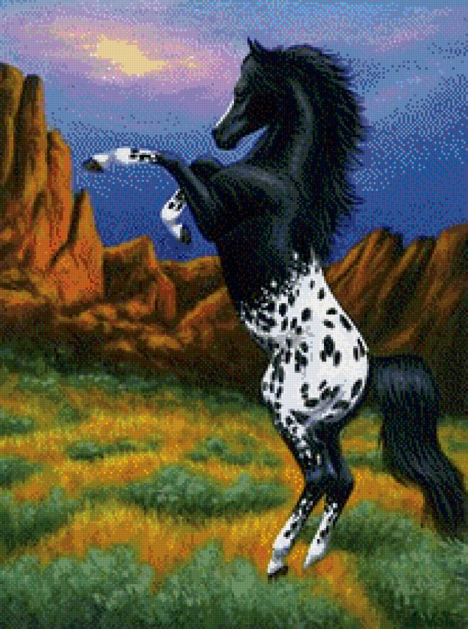 лошадка - природа, животные, лошадь, лошади, кони - предпросмотр