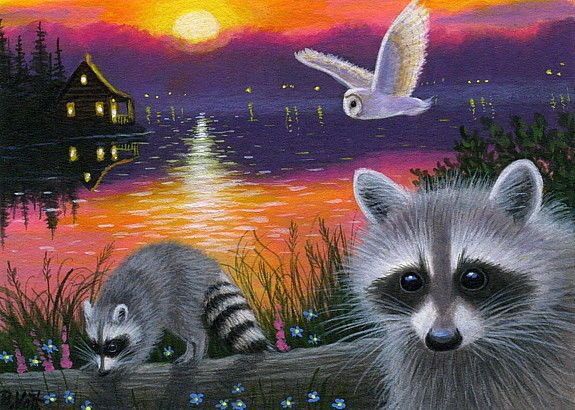 енотики - природа, енот, еноты, сова, животные - оригинал