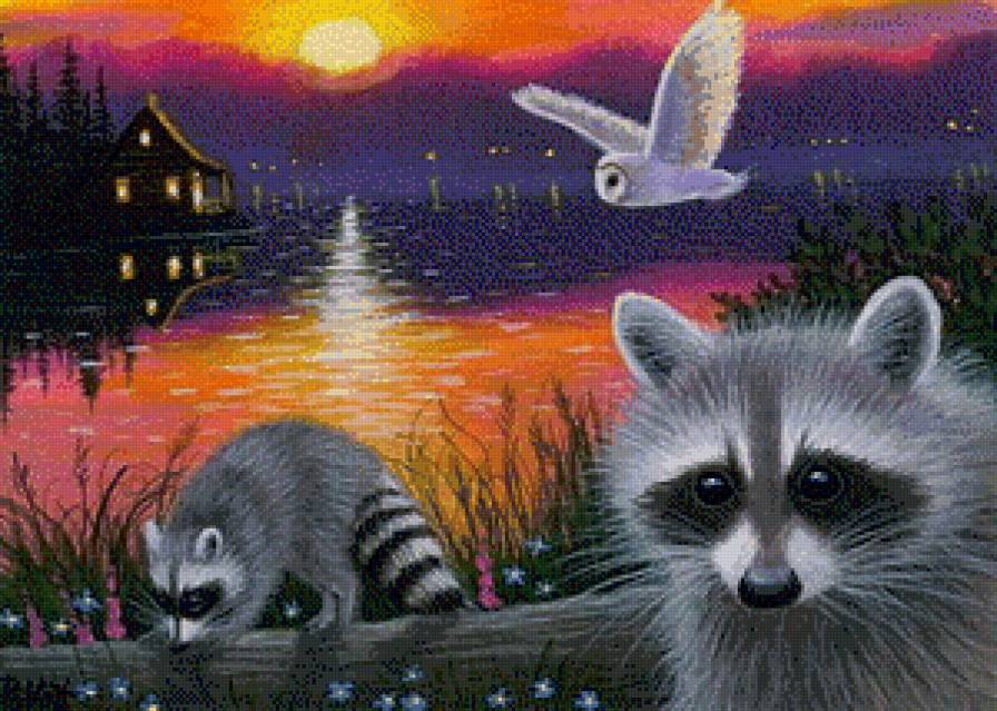 енотики - природа, сова, енот, еноты, животные - предпросмотр