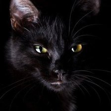 Схема вышивки «34»