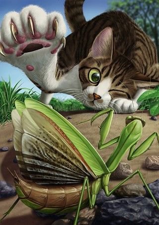 Серия "Мультяшки" - игра, богомол, кот, охота - оригинал