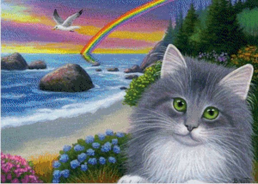 котик - животные, кот, чайка, кошка, море, кошки, радуга - предпросмотр