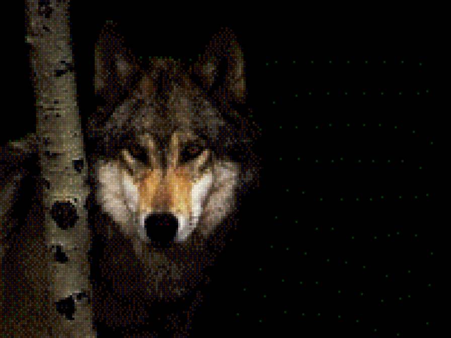 41 - предпросмотр