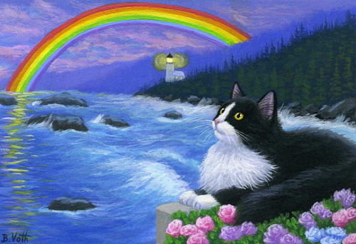 котик - море, коты, луна, животные, кошка, ночь, маяк, кот, радуга - оригинал