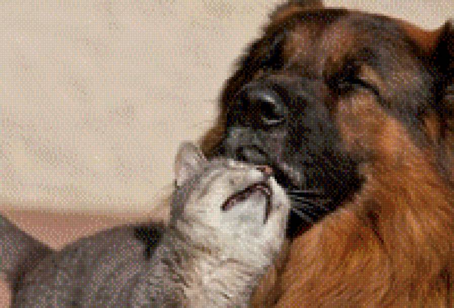 43 - предпросмотр