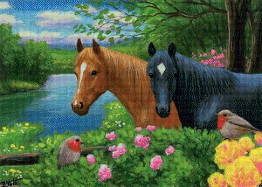 лошадки - лошади, лошадка, животные, кони, лошадь, конь - предпросмотр