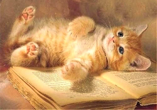 Серия "Домашние любимцы" - полосатик, книга, рыжий котик, кот, отдых - оригинал