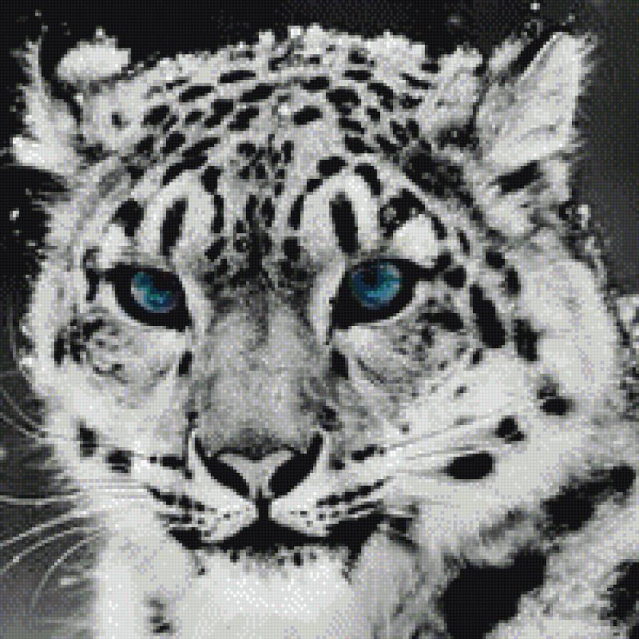 барс - предпросмотр