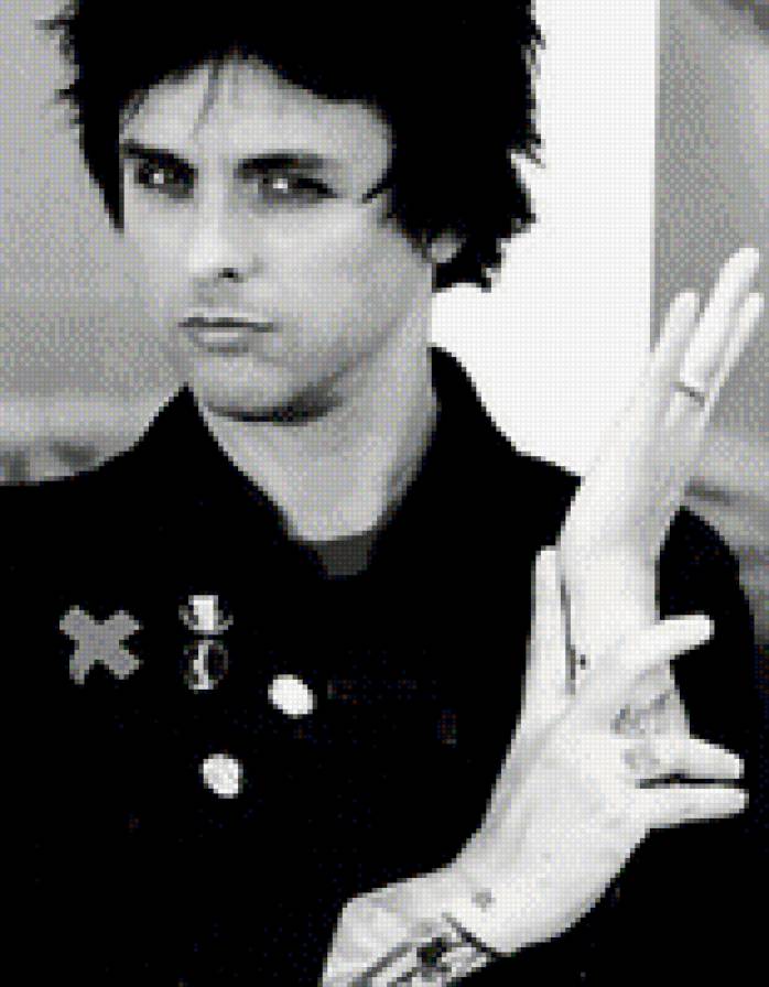 Билли Джо Армстронг - предпросмотр