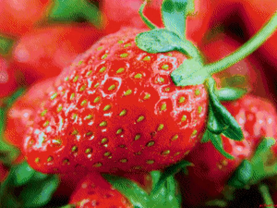 Клубника - клубника, ягода - предпросмотр