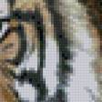 Предпросмотр схемы вышивки «Тигр в зарослях» (№972585)