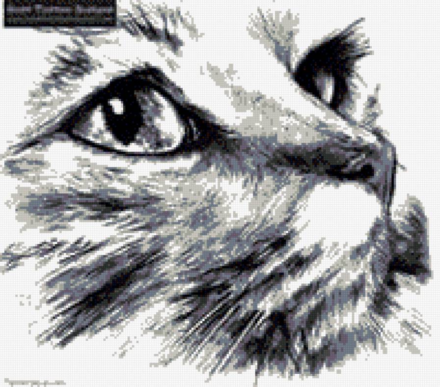 №972636 - предпросмотр