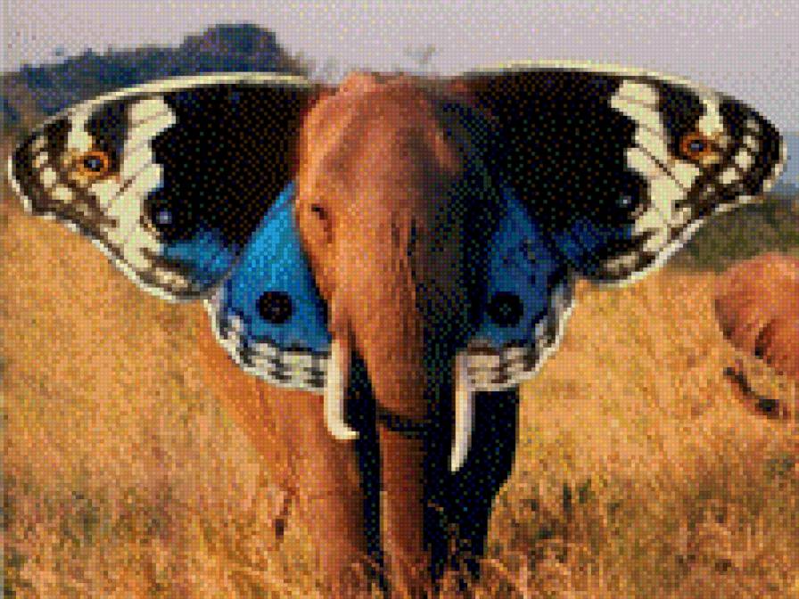 fdwe - предпросмотр