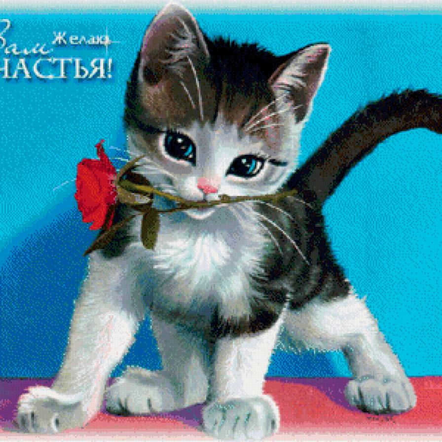 котенок с розой - роза, кот - предпросмотр
