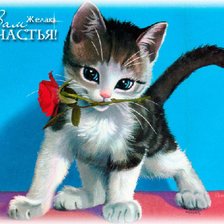 Оригинал схемы вышивки «котенок с розой» (№972663)