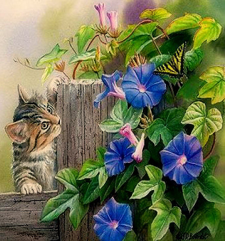 Серия "Дикая природа" - котик, игра, цветы, бабочка, кот, полосатик - оригинал