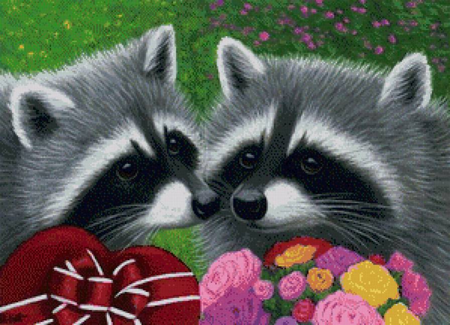 енотики - животные, любовь, еноты, природа, цветы, романтика, енот - предпросмотр