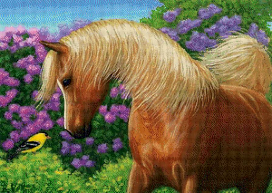 лошадка - лошадка, животные, кони, лошадь, конь, птицы, лошади - предпросмотр