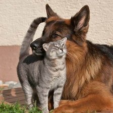 Схема вышивки «51»