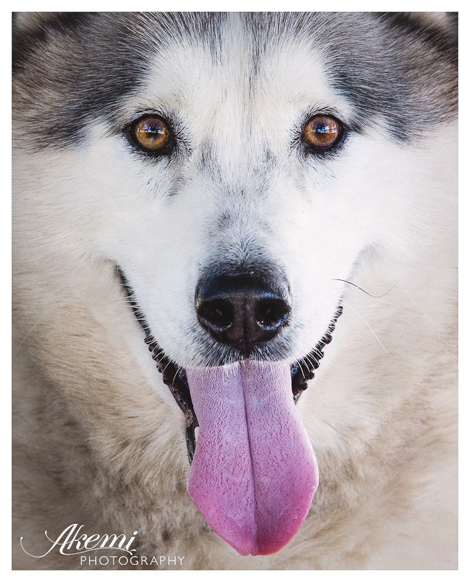 55 - оригинал