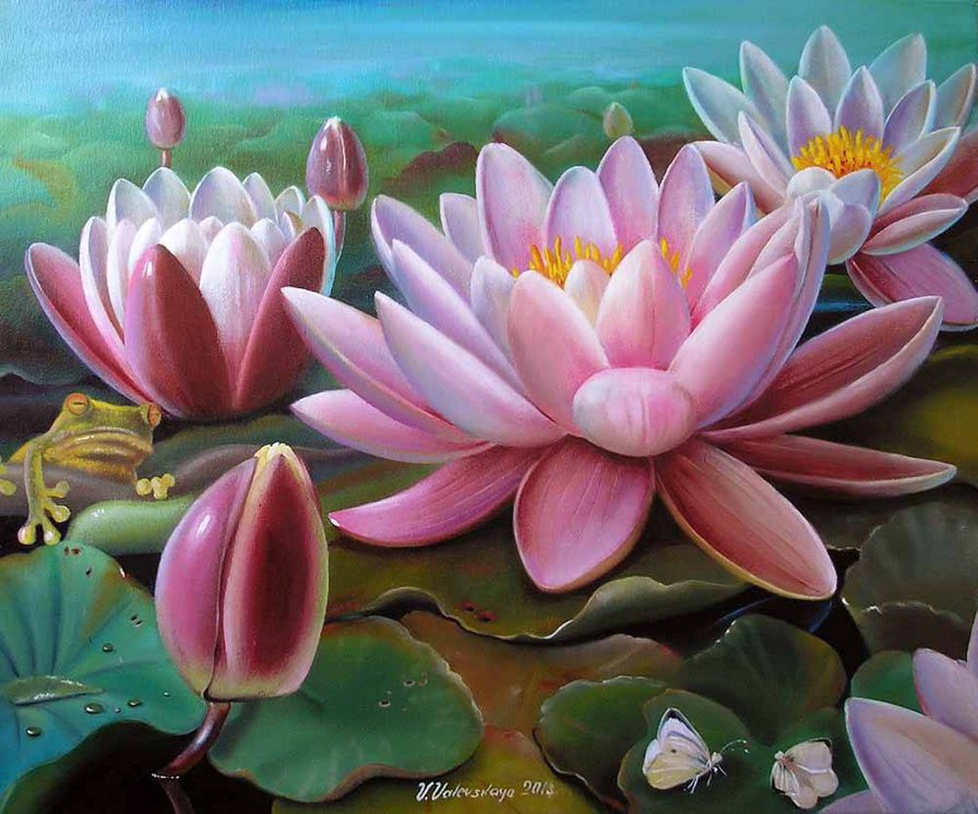 цветы лотоса - цветы, лотос - оригинал