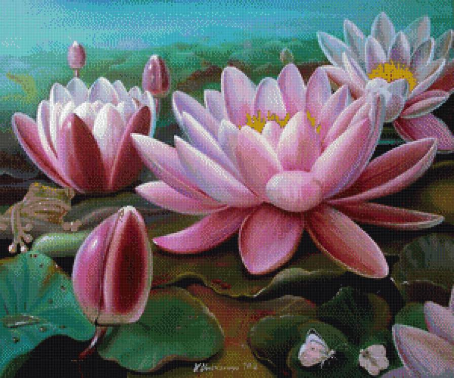 цветы лотоса - лотос, цветы - предпросмотр