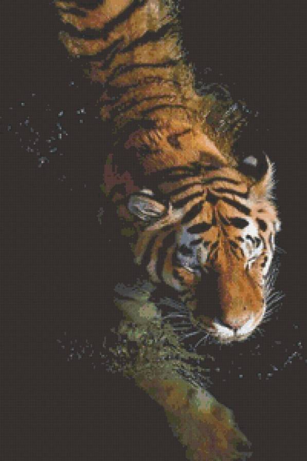 не только крокодилы любят... - животные - предпросмотр