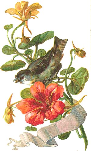 №973265 - оригинал