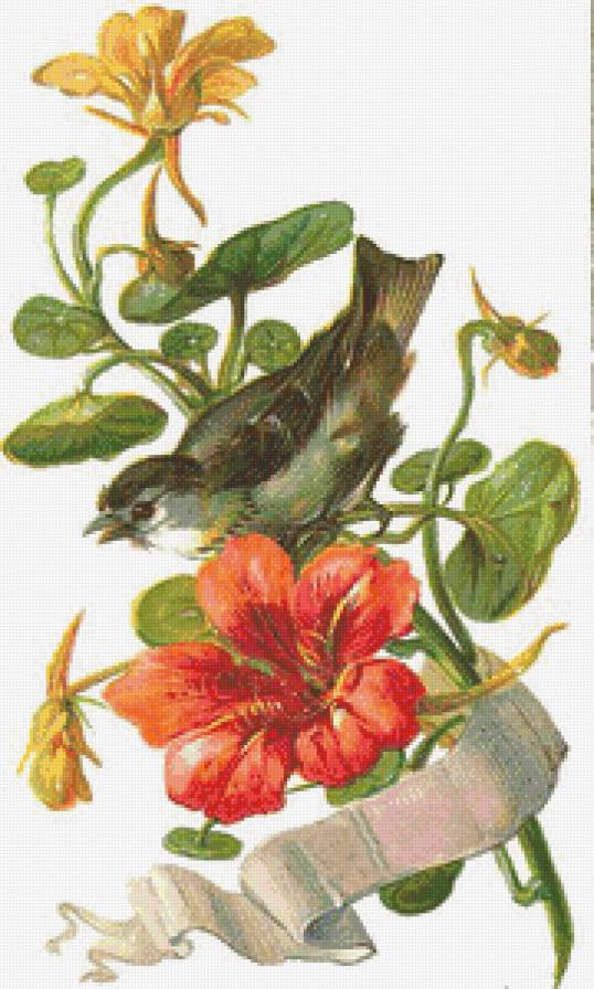 №973265 - предпросмотр