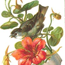 Схема вышивки «№973265»