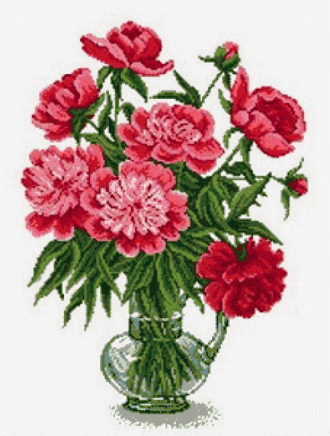 пионы - цветы, букет - предпросмотр