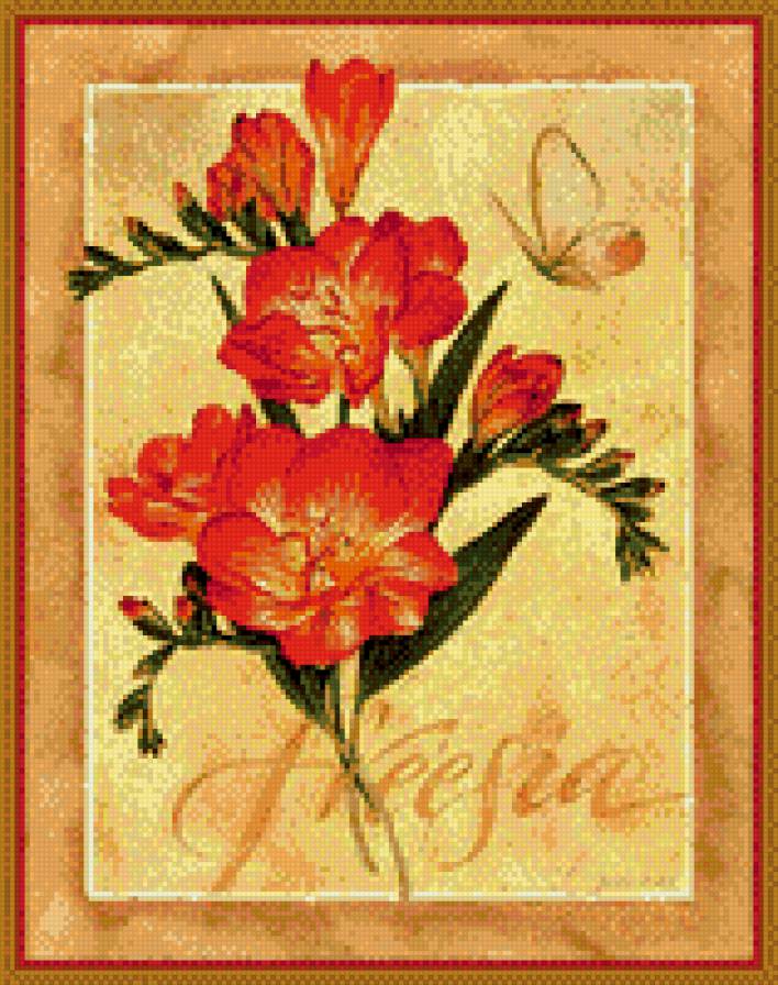 Фрезия - цветы - предпросмотр